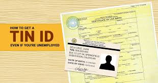 How to Get a TIN ID for Business Registration in the Philippines: Complete Guide